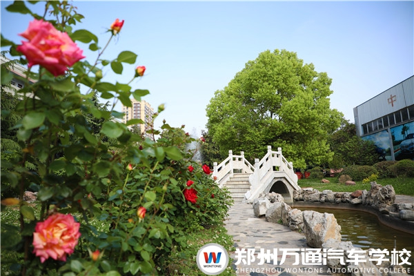 職業(yè)院校大PK，這些要點(diǎn)你都知道嗎？
